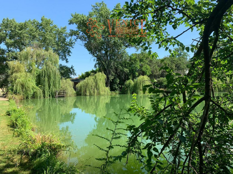 Scopri un angolo di paradiso immerso nella natura: una tenuta oasi faunistica situata nel comune ...