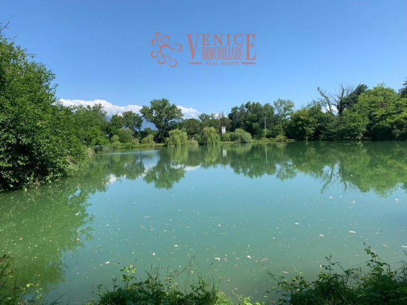 Scopri un angolo di paradiso immerso nella natura: una tenuta oasi faunistica situata nel comune ...