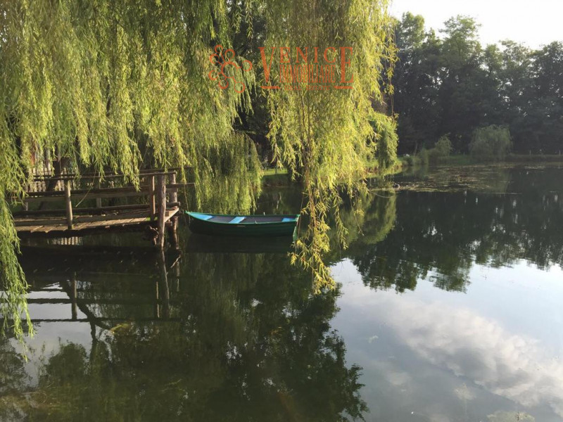 Scopri un angolo di paradiso immerso nella natura: una tenuta oasi faunistica situata nel comune ...