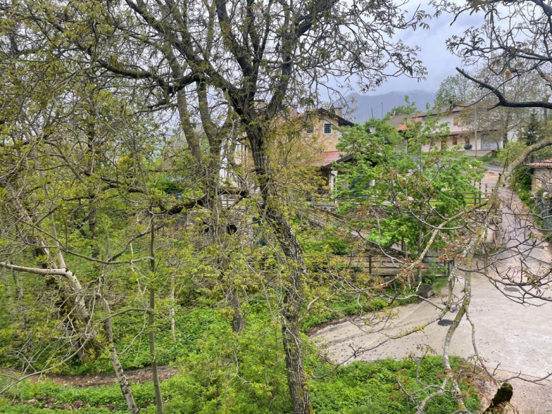 Splendida casa singola in vendita a Crespadoro, nella tranquilla località di Marana. Immersa nel ...