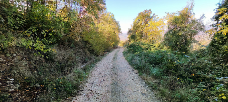 Nel cuore di Baone, proponiamo in vendita un rustico da ristrutturare, circondato da un ampio ter...