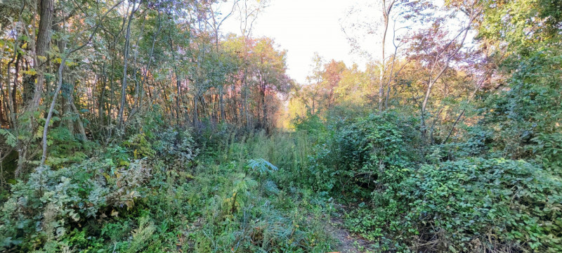 Nel cuore di Baone, proponiamo in vendita un rustico da ristrutturare, circondato da un ampio ter...