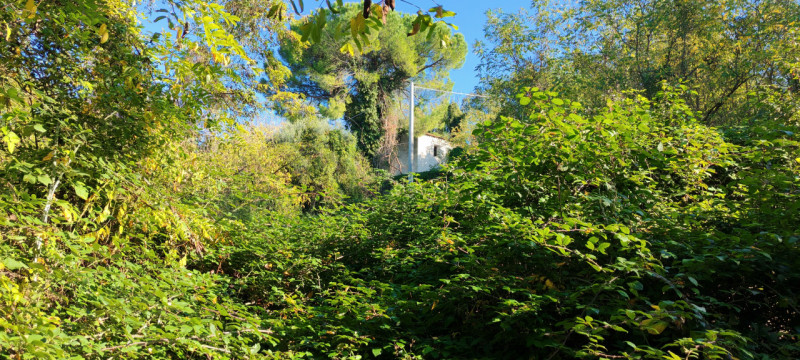 Nel cuore di Baone, proponiamo in vendita un rustico da ristrutturare, circondato da un ampio ter...