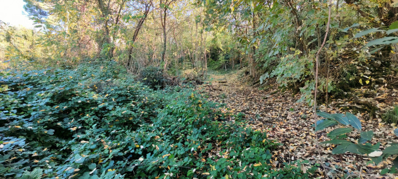 Nel cuore di Baone, proponiamo in vendita un rustico da ristrutturare, circondato da un ampio ter...
