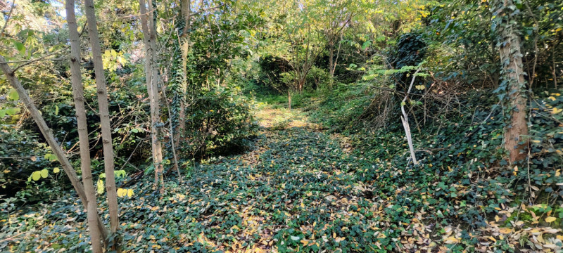 Nel cuore di Baone, proponiamo in vendita un rustico da ristrutturare, circondato da un ampio ter...
