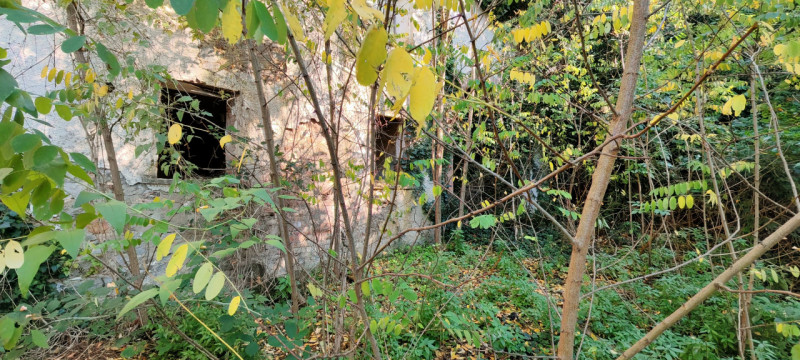 Nel cuore di Baone, proponiamo in vendita un rustico da ristrutturare, circondato da un ampio ter...