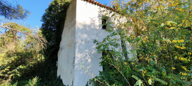 Nel cuore di Baone, proponiamo in vendita un rustico da ristrutturare, circondato da un ampio ter...