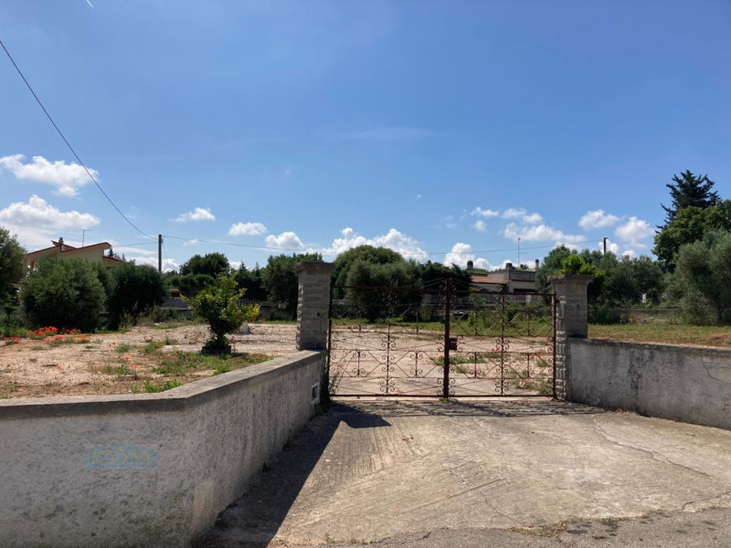 Terreni agricoli in Vendita a Ceglie Messapica