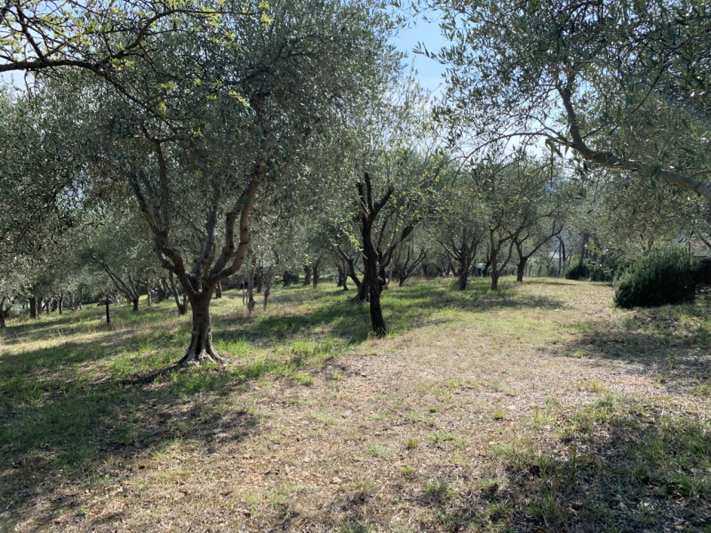 UNA SPLENDIDA VILLA IMMERSA IN UN PARCO DI 12.000MQ AD ARQUA' PETRARCA ...!!! NELLA PACE PIU' ASS...