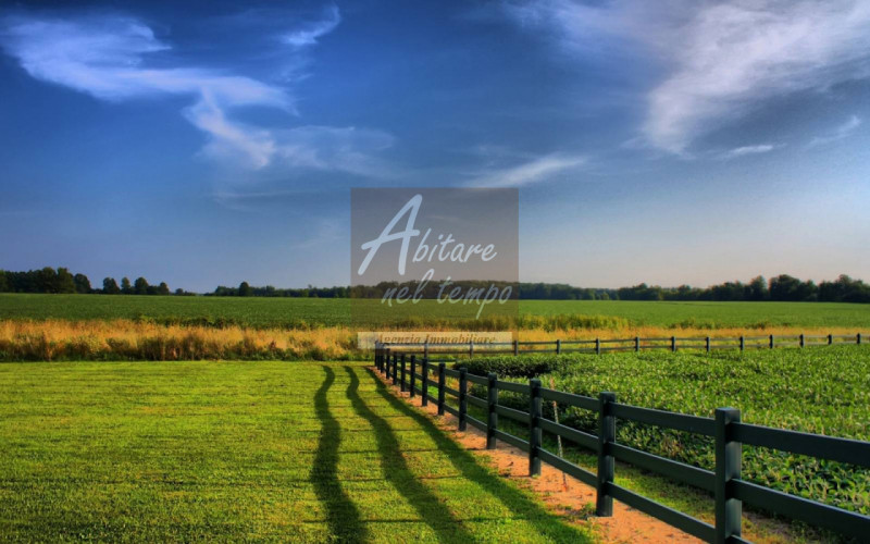 TOMBOLO (PD) - LOCALITA' ONARA

Proponiamo in vendita un lotto di terreno urbanizzato di 1130mq c...