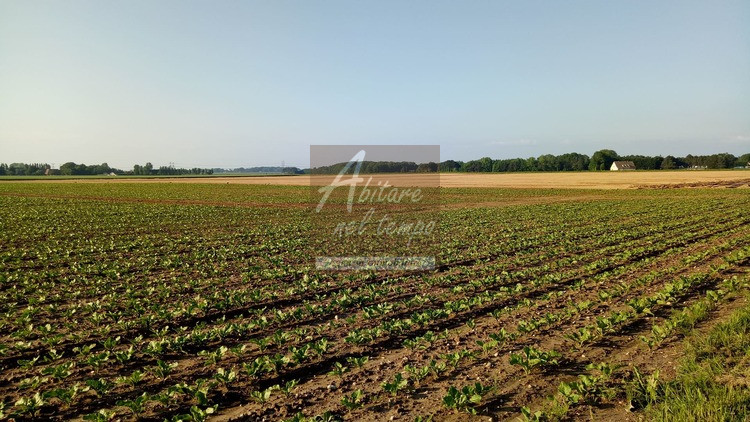 TOMBOLO (PD) - LOCALITA' ONARA

Proponiamo in vendita un lotto di terreno urbanizzato di 1130mq c...