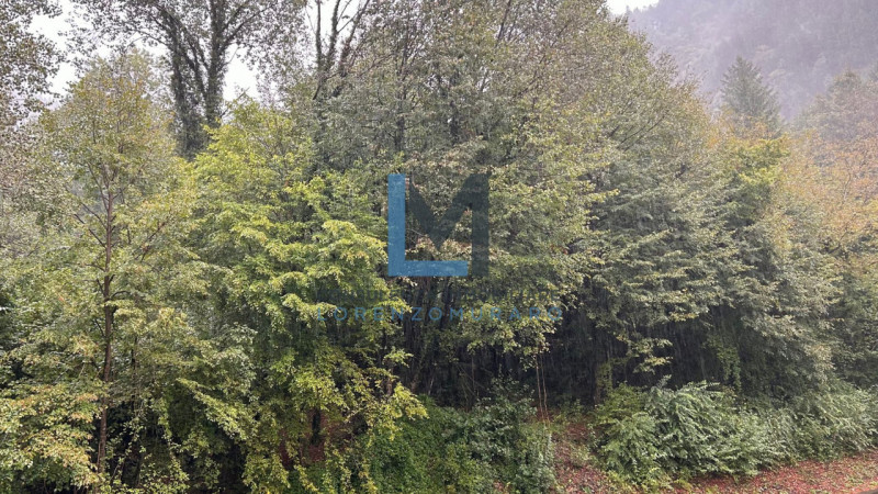 Nel tranquillo contesto residenziale di Piano Arta, nel comune di Arta Terme, proponiamo in vendi...