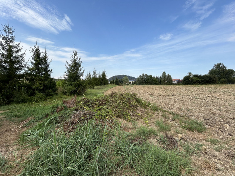 TORREGLIA – AMPIO TERRENO AGRICOLO IN POSIZIONE PANORAMICA

Nel cuore della splendida campagna ve...