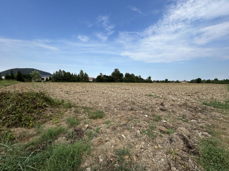 TORREGLIA – AMPIO TERRENO AGRICOLO IN POSIZIONE PANORAMICA

Nel cuore della splendida campagna ve...