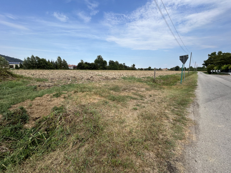 TORREGLIA – AMPIO TERRENO AGRICOLO IN POSIZIONE PANORAMICA

Nel cuore della splendida campagna ve...