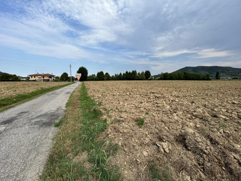 TORREGLIA – AMPIO TERRENO AGRICOLO IN POSIZIONE PANORAMICA

Nel cuore della splendida campagna ve...