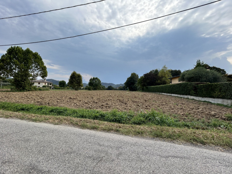 TORREGLIA – AMPIO TERRENO AGRICOLO IN POSIZIONE PANORAMICA

Nel cuore della splendida campagna ve...