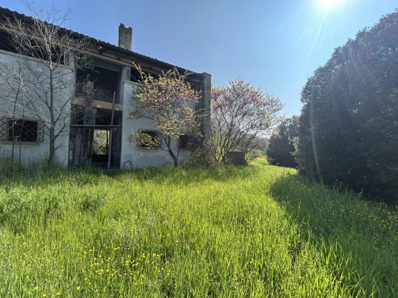 Immagina di svegliarti ogni giorno circondato dalla bellezza senza tempo dei Colli Euganei, in un...