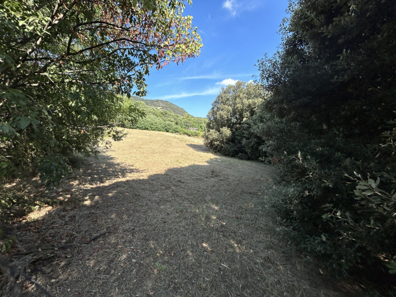 Immagina di svegliarti ogni giorno circondato dalla bellezza senza tempo dei Colli Euganei, in un...