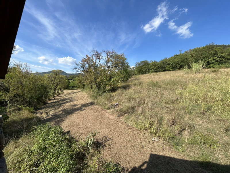 Immagina di svegliarti ogni giorno circondato dalla bellezza senza tempo dei Colli Euganei, in un...