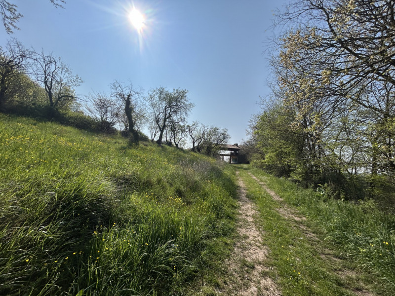 Immagina di svegliarti ogni giorno circondato dalla bellezza senza tempo dei Colli Euganei, in un...