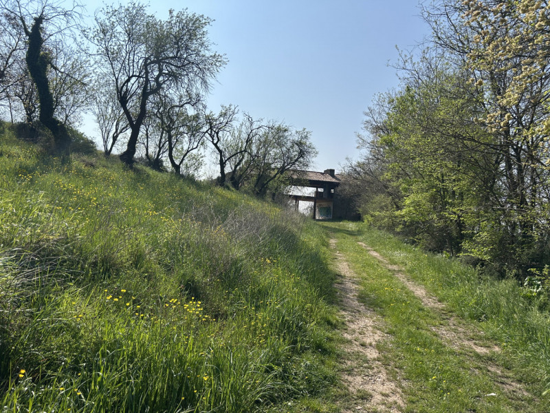 Immagina di svegliarti ogni giorno circondato dalla bellezza senza tempo dei Colli Euganei, in un...
