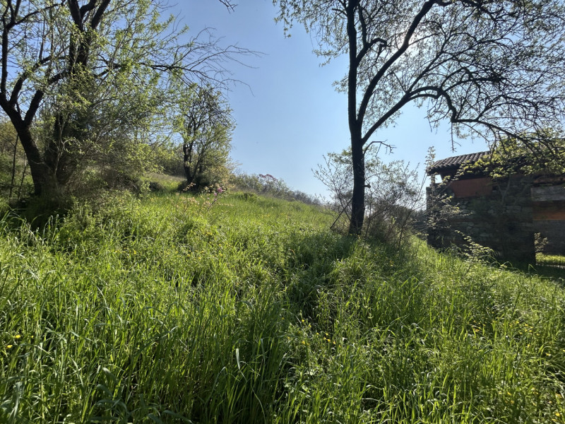 Immagina di svegliarti ogni giorno circondato dalla bellezza senza tempo dei Colli Euganei, in un...