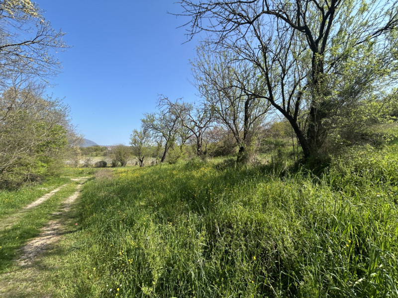 Immagina di svegliarti ogni giorno circondato dalla bellezza senza tempo dei Colli Euganei, in un...