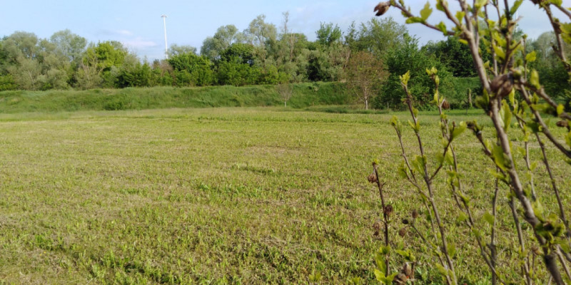 immagine annuncio 4 di 6