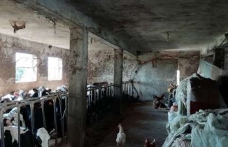 FARA VICENTINO (VI) VIA POLETTI - Piena proprietà di terreno agricolo (935 mq) con annessi fabbri...