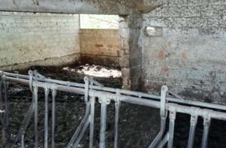 FARA VICENTINO (VI) VIA POLETTI - Piena proprietà di terreno agricolo (935 mq) con annessi fabbri...