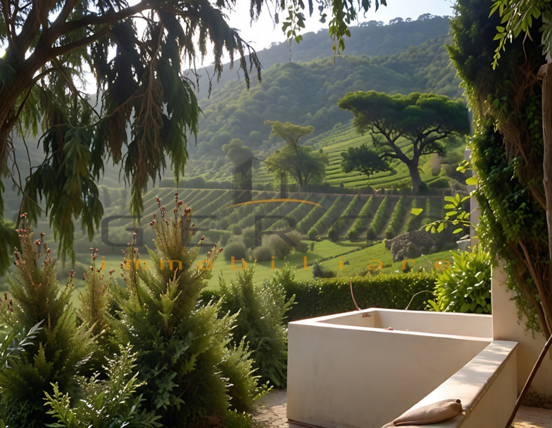 (Per INFO Cristina 3389226442) Proponiamo in vendita casa tipica veneta, costruita alla fine del ...