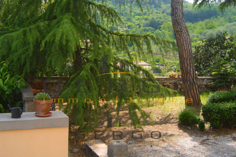 (Per INFO Cristina 3389226442) Proponiamo in vendita casa tipica veneta, costruita alla fine del ...