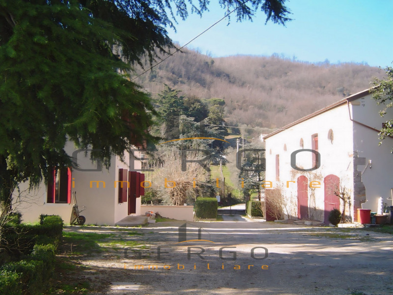 (Per INFO Cristina 3389226442) Proponiamo in vendita casa tipica veneta, costruita alla fine del ...