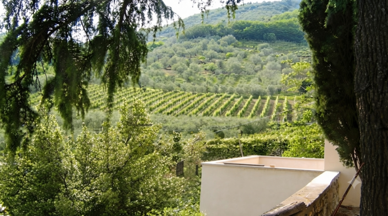 (Per INFO Cristina 3389226442) Proponiamo in vendita casa tipica veneta, costruita alla fine del ...
