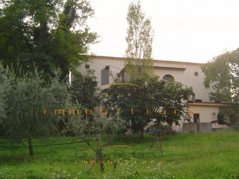 (Per INFO Cristina 3389226442) Proponiamo in vendita casa tipica veneta, costruita alla fine del ...