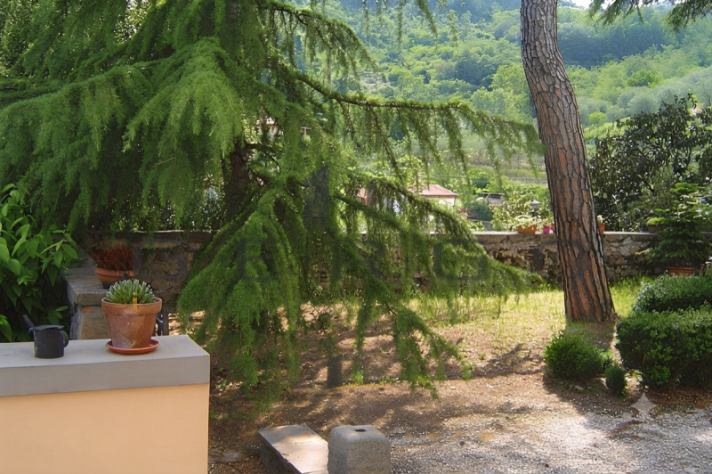 (Per INFO Cristina 3389226442) Proponiamo in vendita casa tipica veneta, costruita alla fine del ...