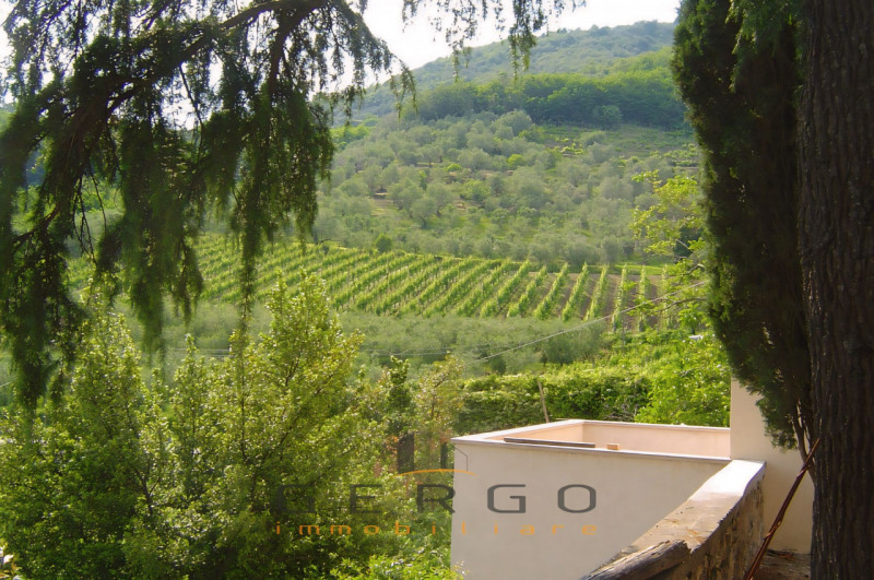 (Per INFO Cristina 3389226442) Proponiamo in vendita casa tipica veneta, costruita alla fine del ...