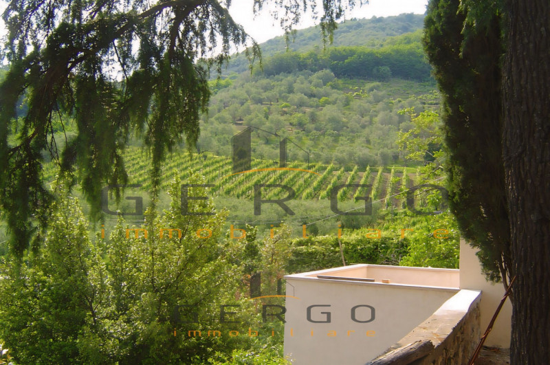 (Per INFO Cristina 3389226442) Proponiamo in vendita casa tipica veneta, costruita alla fine del ...