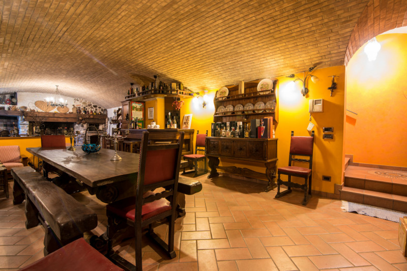 Prestigiosa Villa con Parco privato e Laghetto a Selvazzano Dentro. 
Immersa nella quiete di un p...