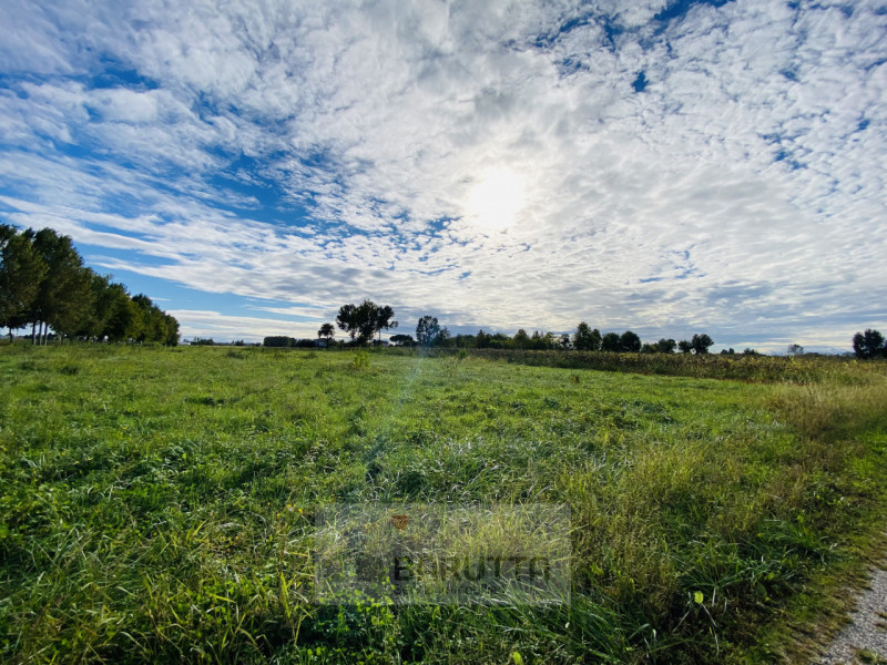 Borgoricco- Si vende terreno agricolo di 11280 mq. All'appezzamento si accede da via Pelosa, stra...