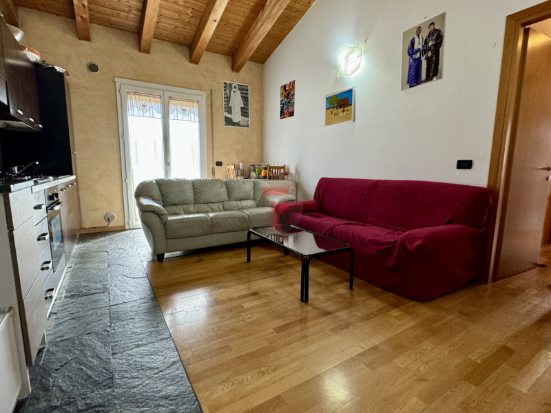 S.Giorgio delle Pertiche - zona verde e tranquilla. Comoda al centro paese, ai servizi. Zona ben ...