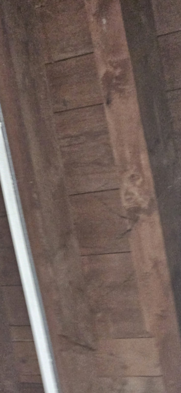 In posizione centrale a Conselve, a pochi passi da tutti i principali servizi, proponiamo intero ...