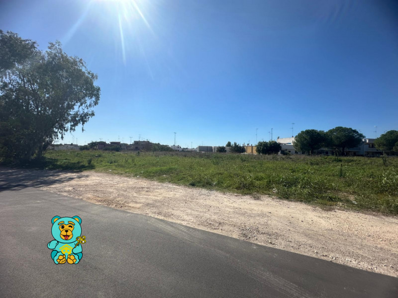 Terreni in Vendita a Cavallino