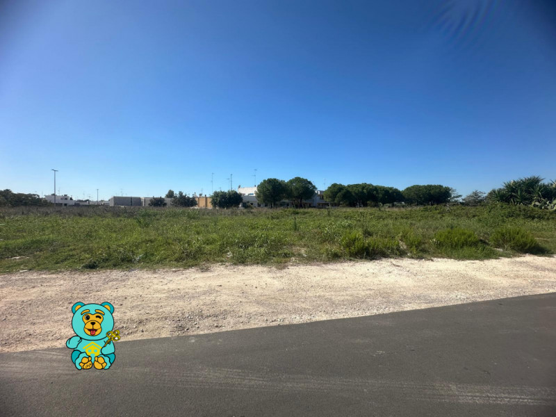 Terreni in Vendita a Cavallino