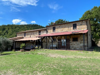 Large semi-detached farmhouse with land and olive trees in a panoramic position
