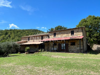 Large semi-detached farmhouse with land and olive trees in a panoramic position
