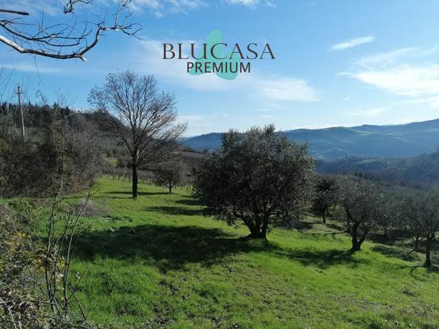 Terreni in Vendita a Castrocaro Terme e Terra del Sole