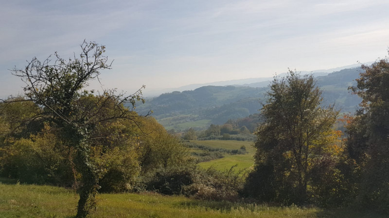 In vendita, nel suggestivo comune di Brogliano località Quargnenta, presentiamo un'opportunità un...