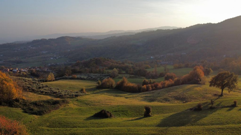 In vendita, nel suggestivo comune di Brogliano località Quargnenta, presentiamo un'opportunità un...